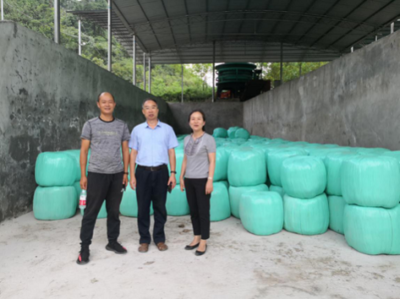 市畜牧總站帶隊南方草地項目指導工作圓滿完成，助力墊豐石畜牧飼料業(yè)升級